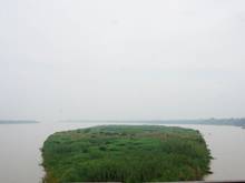 Sông Hồng, phường Ngọc Lâm