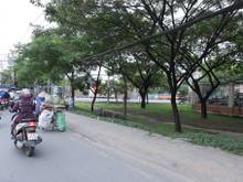 Đường Hà Huy Giáp, Phường Thạnh Xuân, Quận 12