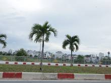 Đường Lê Văn Việt, Phường Hiệp Phú, Quận 9