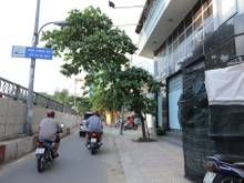 Đường Khánh Hội, Phường 4, Quận 4