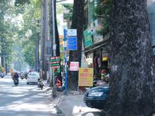 2. Đường Nguyễn Tri Phương, Phường 5, Quận 10.