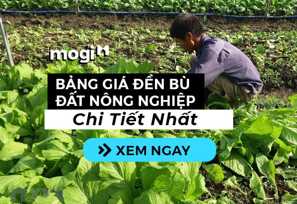 Giá đền bù đất Mb6666 game giải trí miễn phí: cách tính và thông tin chi tiết