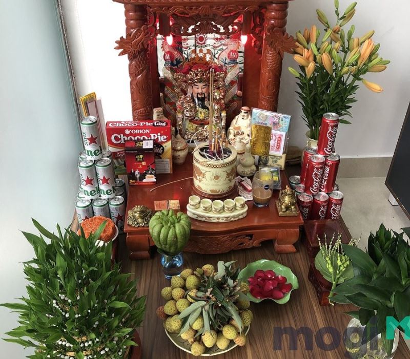 Cóc vào nhà là điềm gì