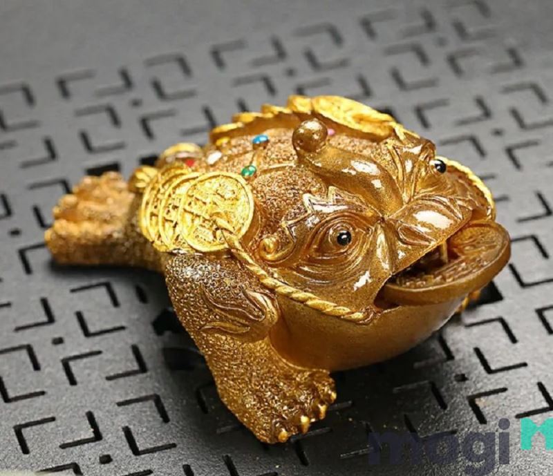 Cóc vào nhà là điềm gì