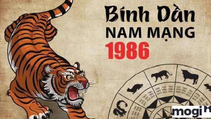 1986-hop-huong-nao 1986 hợp hướng nào