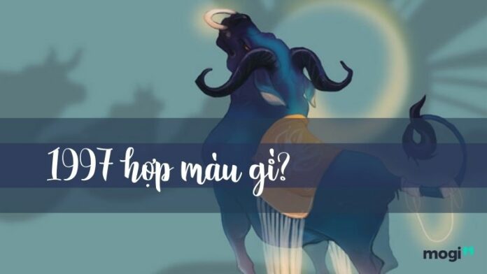 1997 hợp màu gì?