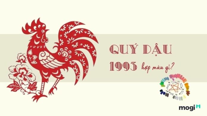 93 hợp màu gì?