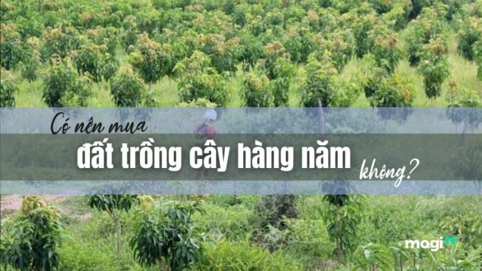 Có nên mua đất trồng cây hàng năm không?