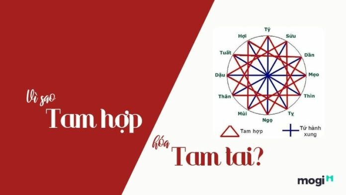 Tam hợp hóa tam tai là gì? Hiểu thế nào mới đúng?