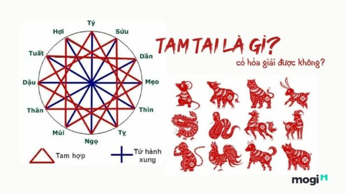 tam tai là gì