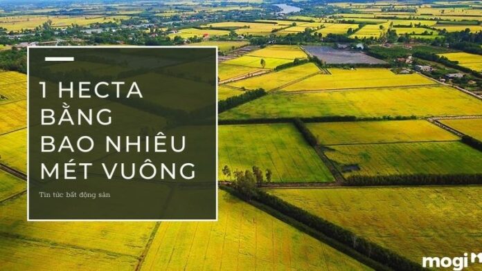 1 hecta bằng bao nhiêu m2