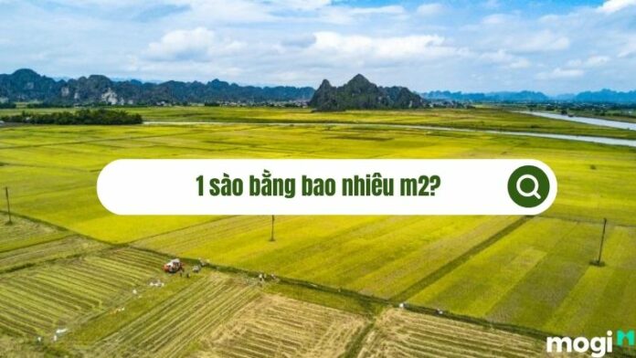 1 sào bằng bao nhiêu m2?