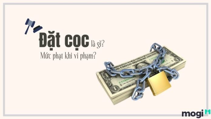 Đặt cọc