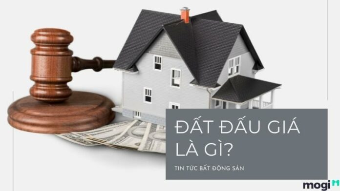 Đất đấu giá