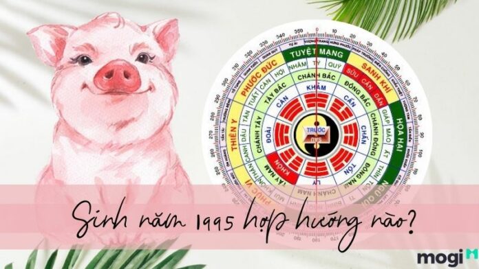 1995 hợp hướng nào? Chọn hướng nhà hợp Mb6688 đang hoakt động cho Ất Hợi 1995