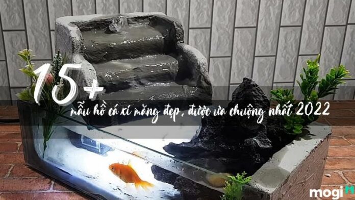 15+ mẫu hồ cá xi măng đẹp, được ưa chuộng nhất 2022