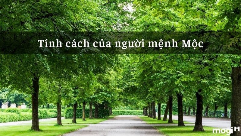 Tính cách đặc trưng của người mệnh Mộc như thế nào?