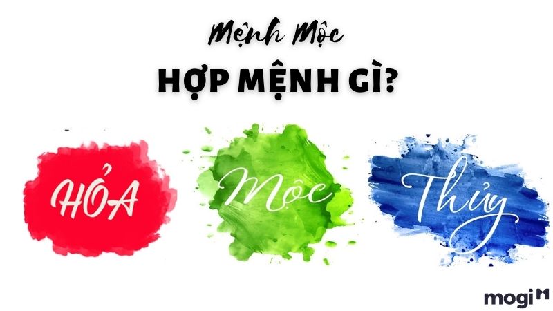 Mệnh Mộc hợp mệnh gì?