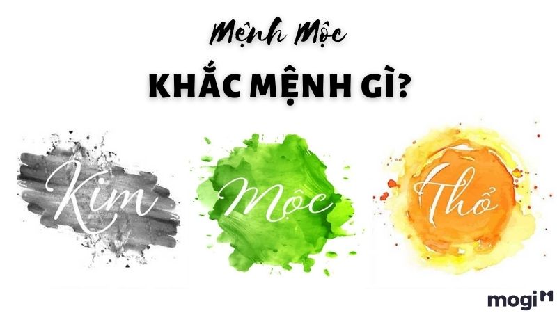 Mệnh Mộc kỵ mệnh gì?