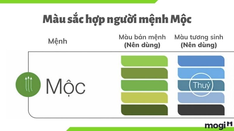 Mệnh Mộc hợp màu gì