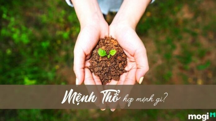 Mệnh thổ hợp với mệnh gì? Bạn đã biết chưa?