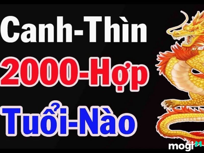 Sinh năm 2000 mệnh gì? Tuổi Canh Thìn hợp tuổi nào, màu nào? 4 Sinh năm 2000 hợp tuổi gì