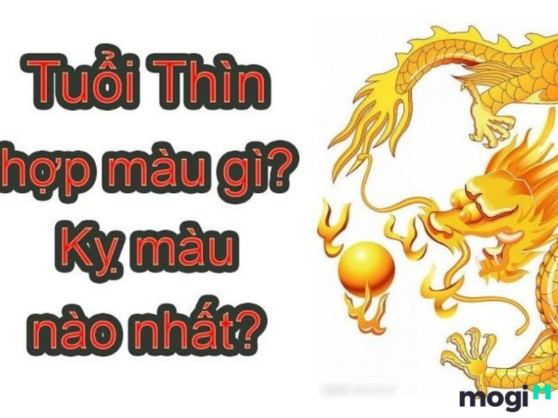 Sinh năm 2000 mệnh gì? Tuổi Canh Thìn hợp tuổi nào, màu nào? 6 2000 kỵ màu gì