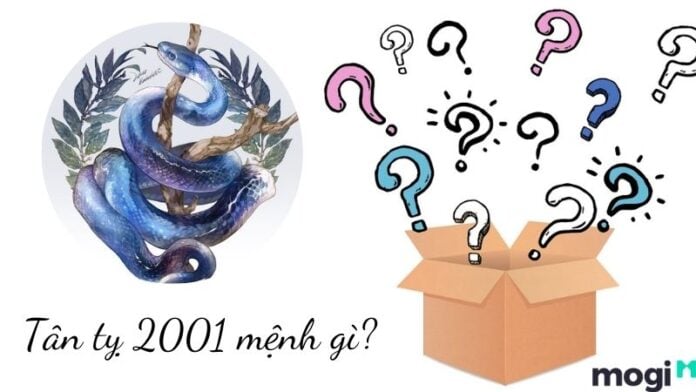 2001 mệnh gì