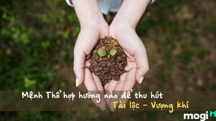 mệnh Thổ hợp hướng nào